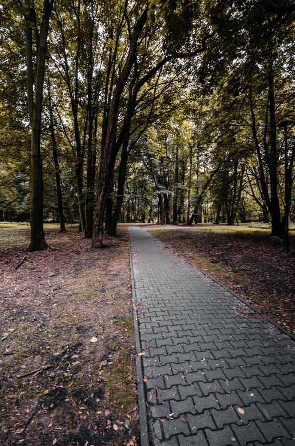Apartament Deluxe Arcon Siemianowice Śląskie Buitenkant foto