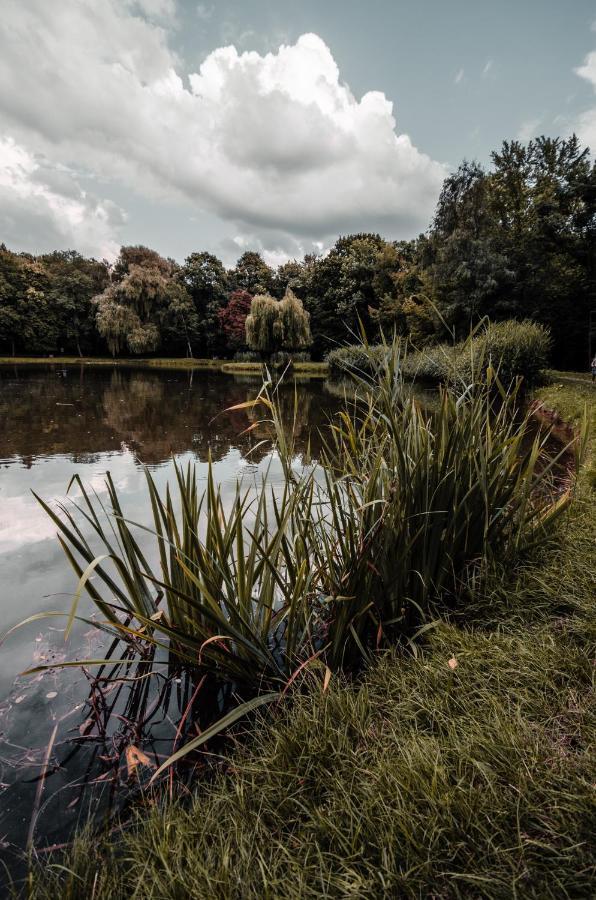 Apartament Deluxe Arcon Siemianowice Śląskie Buitenkant foto